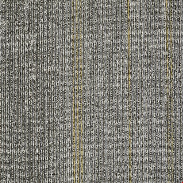Shaw Material Effects: Weathered 24" x 24" Carpet Tile 54781 500