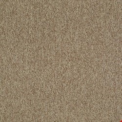 Shaw Multiplicity: Plethora 24