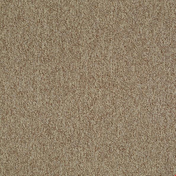 Shaw Multiplicity: Plethora 24" x 24" Carpet Tile 54594 105
