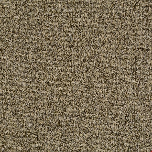 Shaw Multiplicity: Abundance 24" x 24" Carpet Tile 54594 200