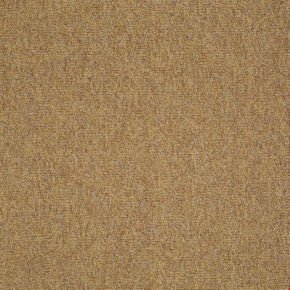 Shaw Multiplicity: Expansive 24" x 24" Carpet Tile 54594 210