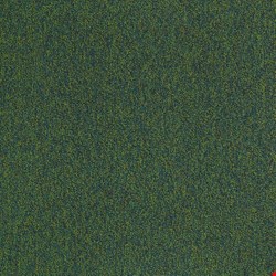 Shaw Multiplicity: Profuse 24