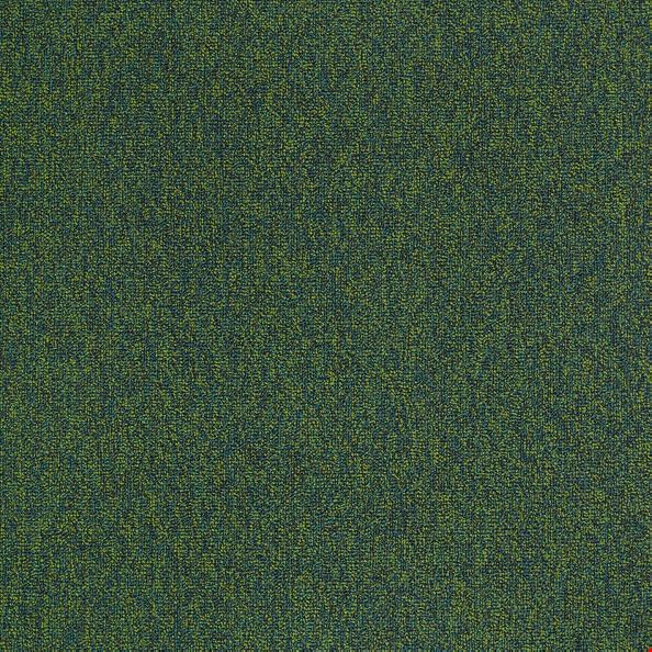 Shaw Multiplicity: Profuse 24" x 24" Carpet Tile 54594 315