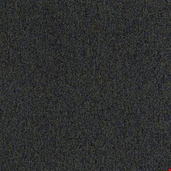 Shaw Multiplicity: Plentiful 24