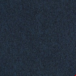 Shaw Multiplicity: Prosperity 24