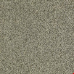 Shaw Multiplicity: Batch 24