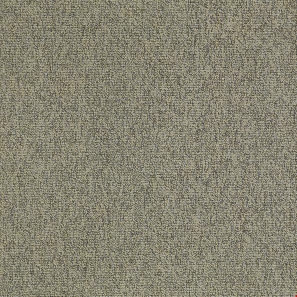 Shaw Multiplicity: Batch 24" x 24" Carpet Tile 54594 500