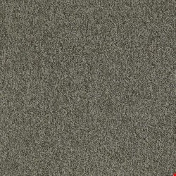 Shaw Multiplicity: Cluster 24