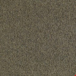 Shaw Multiplicity: Oodles 24