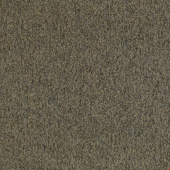 Shaw Multiplicity: Oodles 24" x 24" Carpet Tile 54594 700
