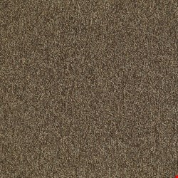 Shaw Multiplicity: Exuberance 24