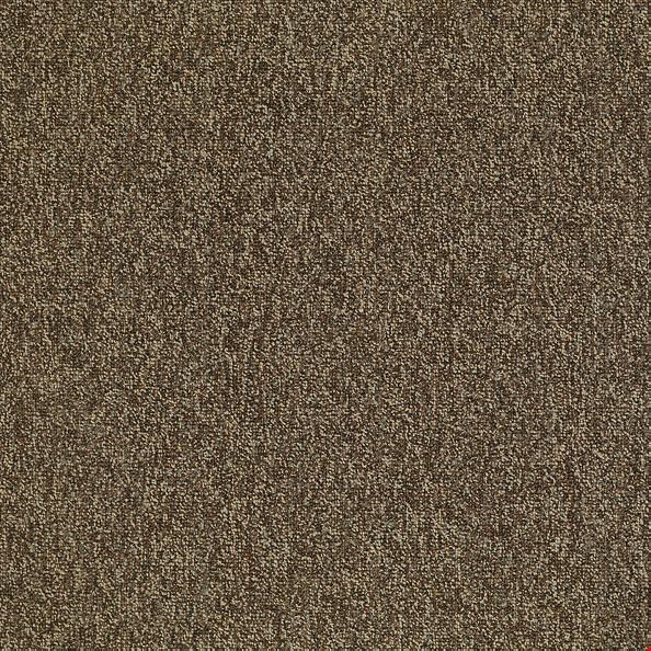 Shaw Multiplicity: Exuberance 24" x 24" Carpet Tile 54594 705