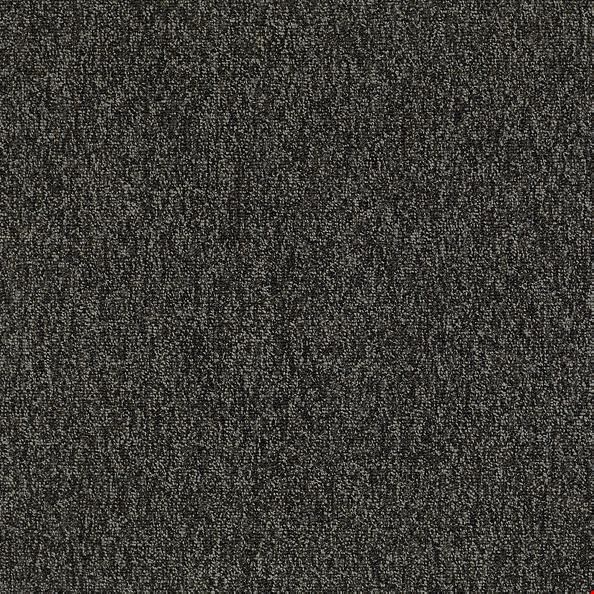 Shaw Multiplicity: Volume 24" x 24" Carpet Tile 54594 710