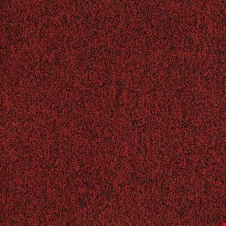 Shaw Multiplicity: Fortune 24