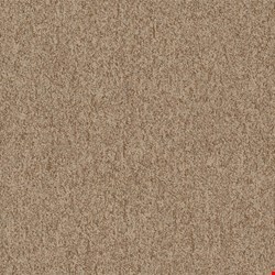 Shaw Multiplicity: Plethora 18