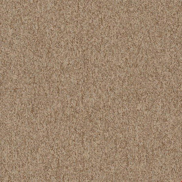 Shaw Multiplicity: Plethora 18" x 36" Carpet Tile 54815 105