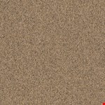 Abundance 18" 36" 54815 200