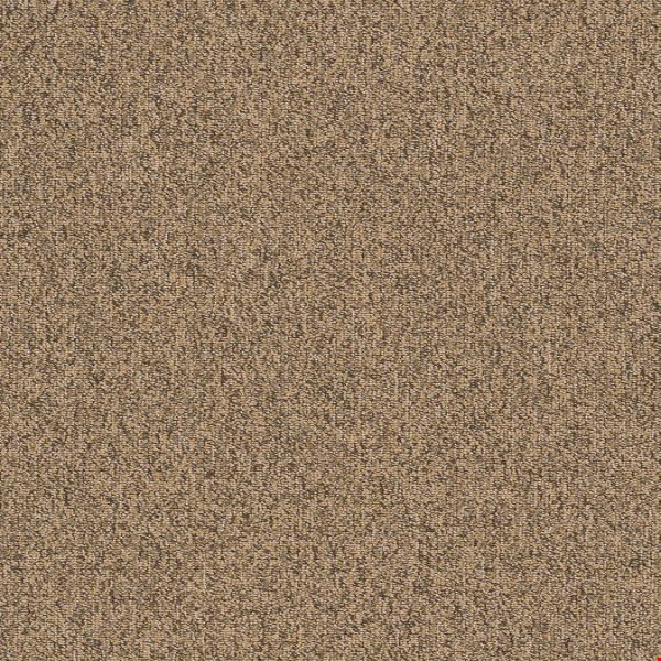 Shaw Multiplicity: Abundance 18" x 36" Carpet Tile 54815 200