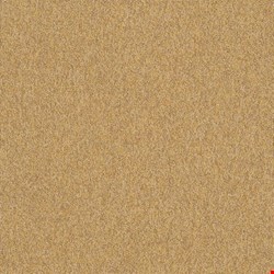 Shaw Multiplicity: Expansive 18