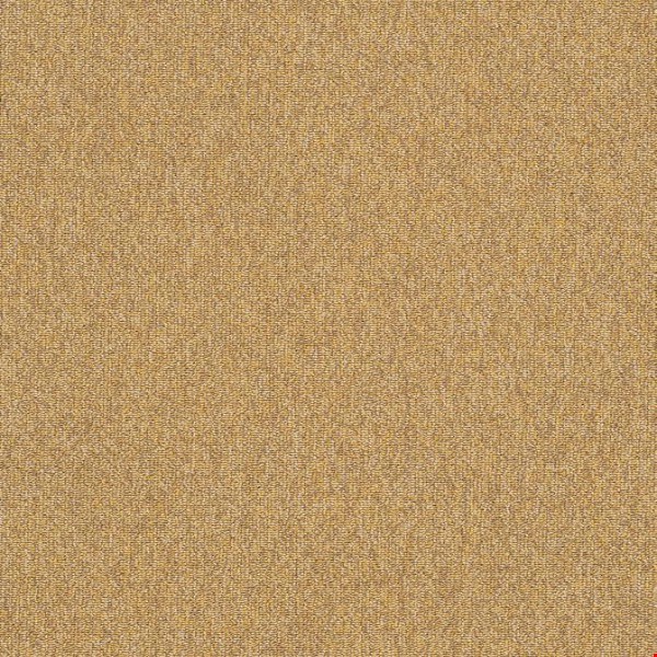 Shaw Multiplicity: Expansive 18" x 36" Carpet Tile 54815 210