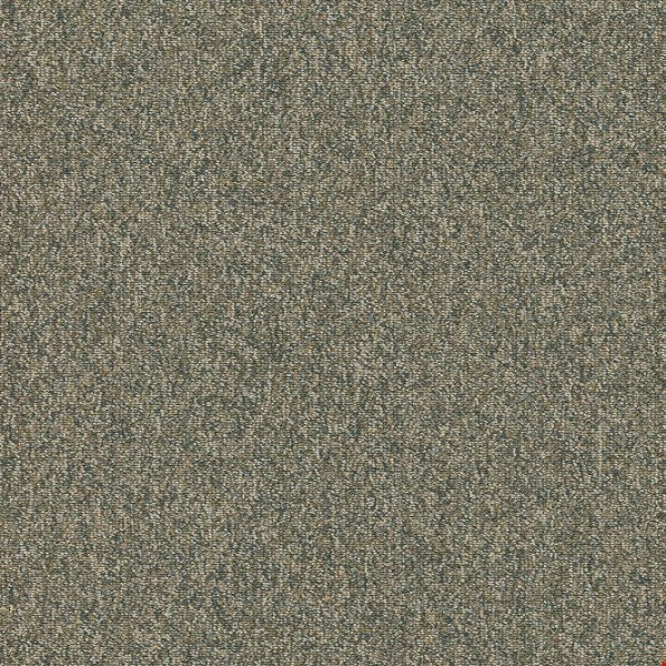 Shaw Multiplicity: Heap 18" x 36" Carpet Tile 54815 300
