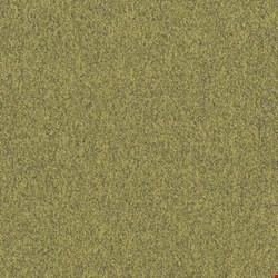 Shaw Multiplicity: Exuberant 18