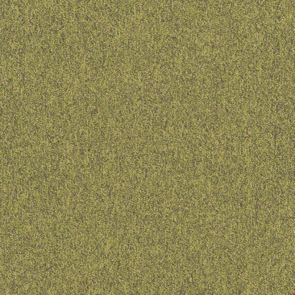 Shaw Multiplicity: Exuberant 18" x 36" Carpet Tile 54815 310