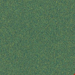 Shaw Multiplicity: Profuse 18