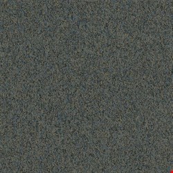 Shaw Multiplicity: Plentiful 18