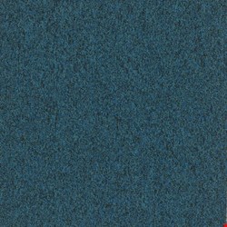 Shaw Multiplicity: Prosperity 18