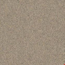 Shaw Multiplicity: Batch 18