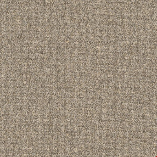Shaw Multiplicity: Batch 18" x 36" Carpet Tile 54815 500