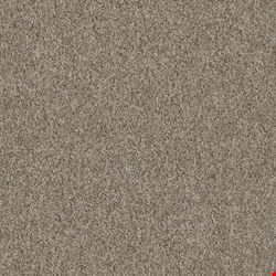 Shaw Multiplicity: Cluster 18