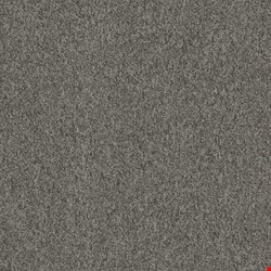 Shaw Multiplicity: Surplus 18