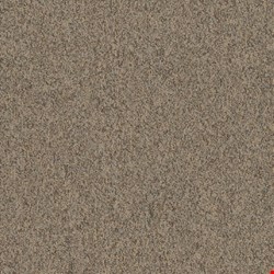 Shaw Multiplicity: Oodles 18