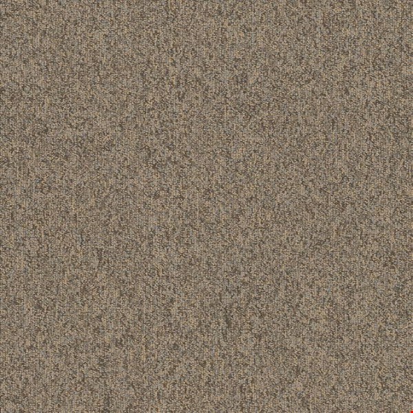 Shaw Multiplicity: Oodles 18" x 36" Carpet Tile 54815 700