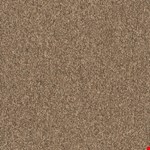 Exuberance 18" 36" 54815 705