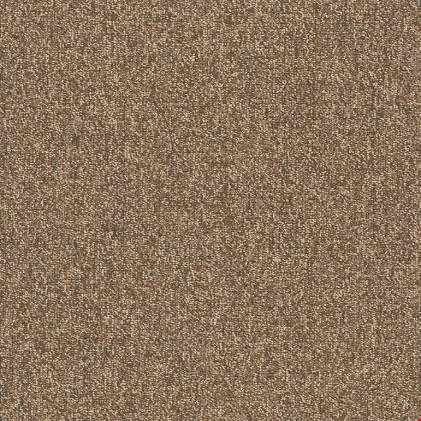 Shaw Multiplicity: Exuberance 18" x 36" Carpet Tile 54815 705