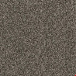 Shaw Multiplicity: Volume 18