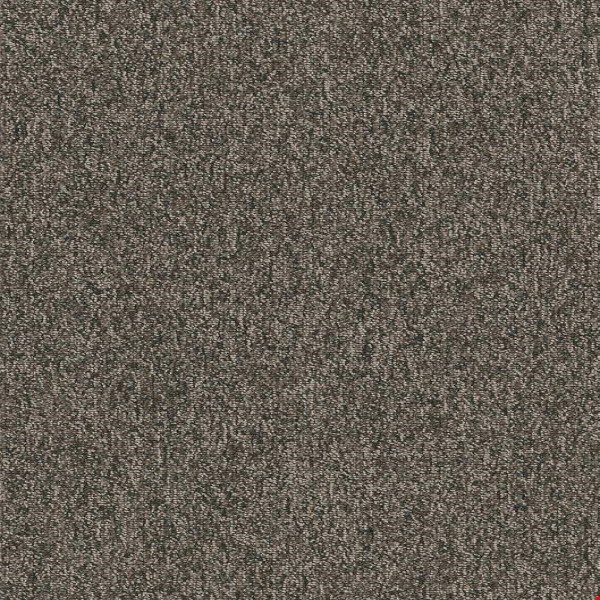 Shaw Multiplicity: Volume 18" x 36" Carpet Tile 54815 710