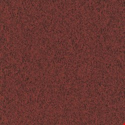 Shaw Multiplicity: Fortune 18