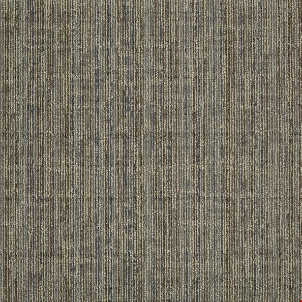 Shaw Mystify: Daze 24" x 24" Carpet Tile 54589 105