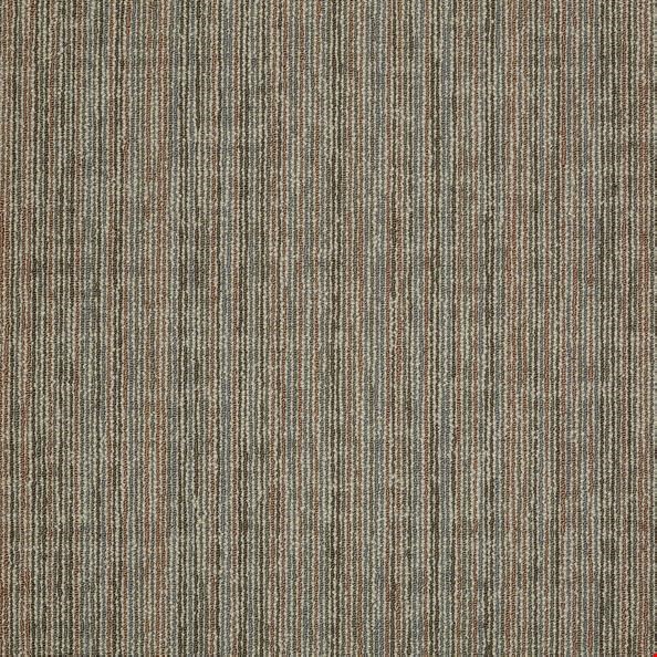 Shaw Mystify: Astonish 24" x 24" Carpet Tile 54589 110