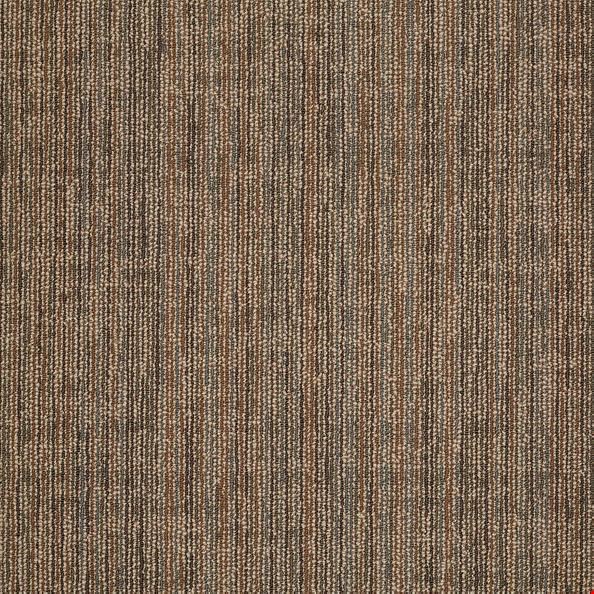 Shaw Mystify: Bewilder 24" x 24" Carpet Tile 54589 205