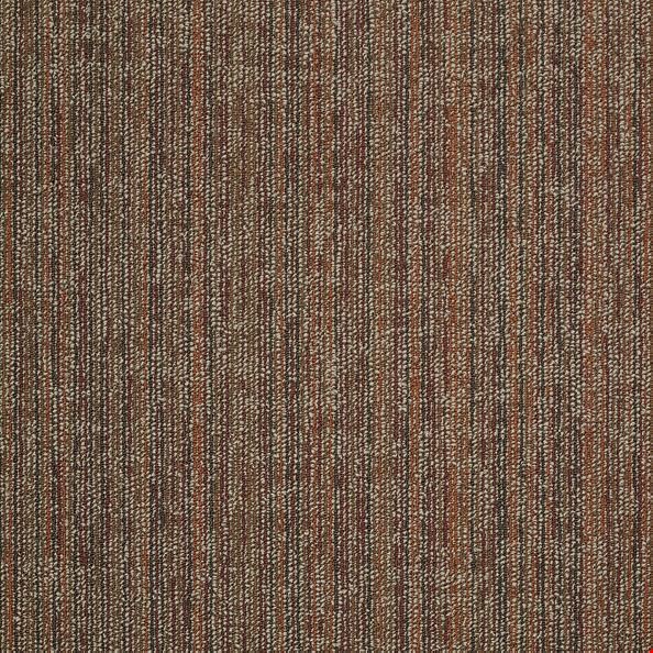 Shaw Mystify: Shock 24" x 24" Carpet Tile 54589 800