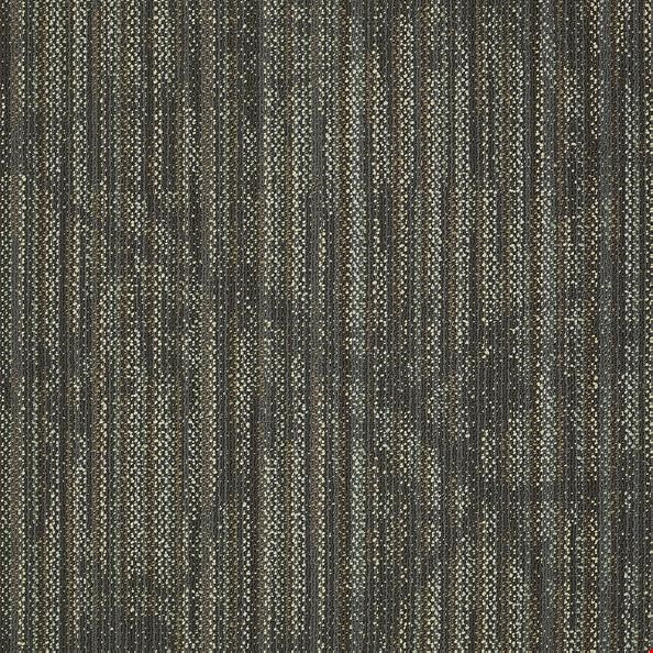 Shaw Reveal: Embrace Wisdom 24" x 24" Carpet Tile 54758 510