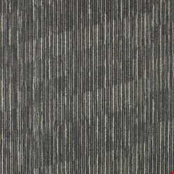 Shaw Shifting Gears: Spark 18