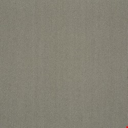 Shaw Color Accents: Mineralite 24