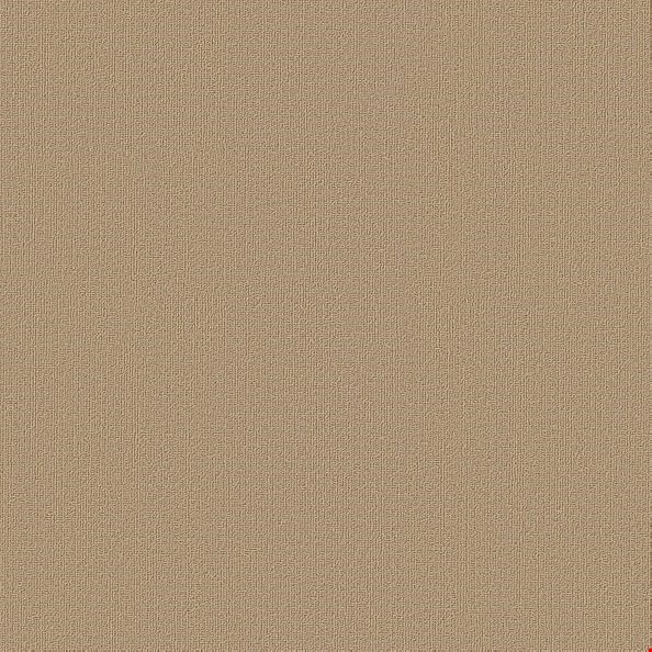 Shaw Color Accents: Autumn Gold 24" x 24" Carpet Tile 54462 62171