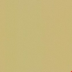 Shaw Color Accents: Glaze 24